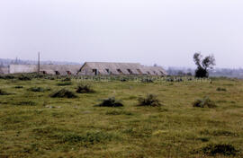 Campamento Puchuncaví