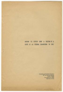Informe del Experto sobre la cuestión...