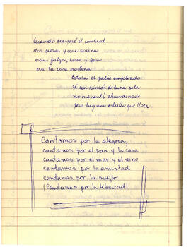 Cuaderno Manuscrito (101)