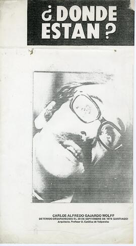 ¿Dónde están? Carlos Alfredo Gajardo Wolff