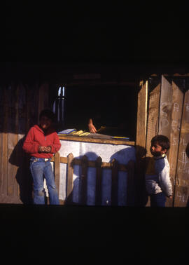 Niños en un negocio