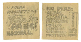 Fuera Pinochet