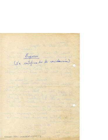 Original Digital object not accessible