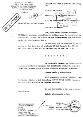 Decreto N° 1028