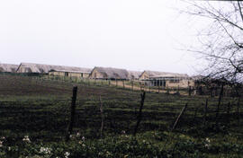 Campamento Puchuncaví